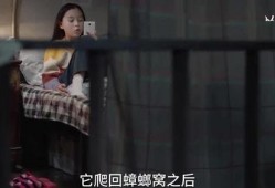 红叶姐姐爆料视频,幕后真相大曝光！